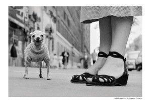 Pocztówka Elliott Erwitt /Nowy Jork, USA, około 1950 