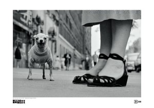PLAKAT Elliott Erwitt /Nowy Jork, USA, około 1950 