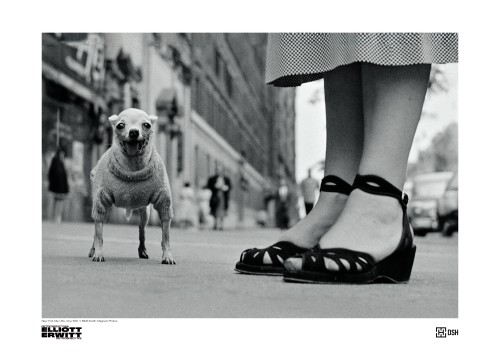 ERWITT_plakat_A2_PIESEK_druk.jpg